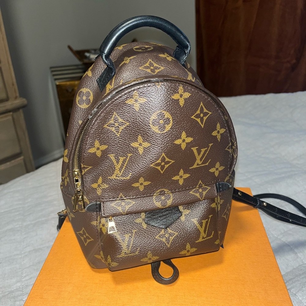 Louis Vuitton Mini Palm Springs